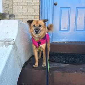 Meet your Posher, Cynthia